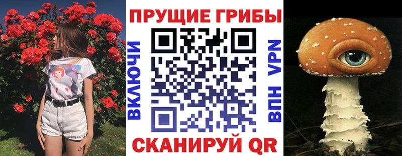 Галлюциногенные грибы Cubensis  как найти закладки  Кочубеевское 