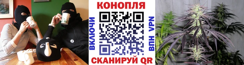 магазин продажи   Кочубеевское  Каннабис Ganja 